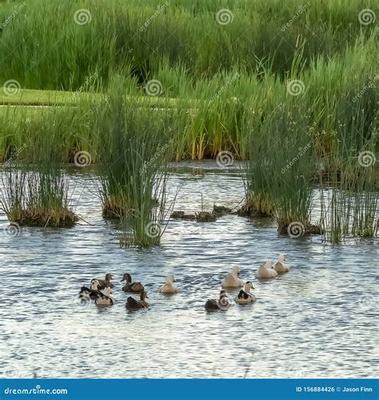 如何代理熱血傳奇手游 互聯(lián)網(wǎng)游戲服務工作室的完整指南